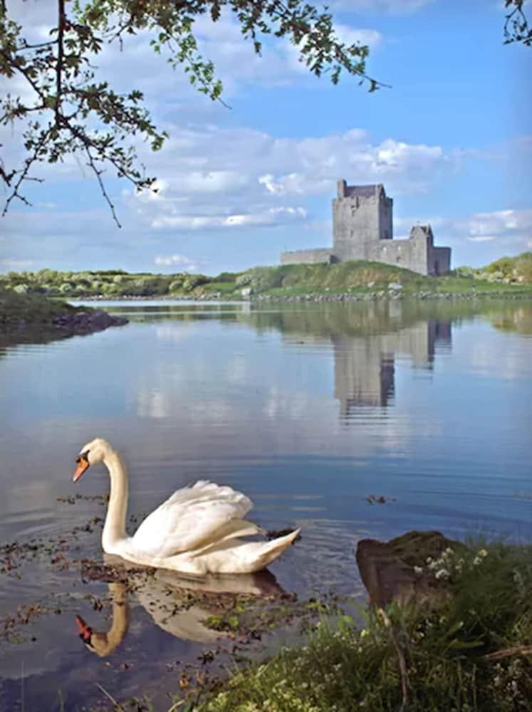 Merriman Hotel Kinvara Dış mekan fotoğraf